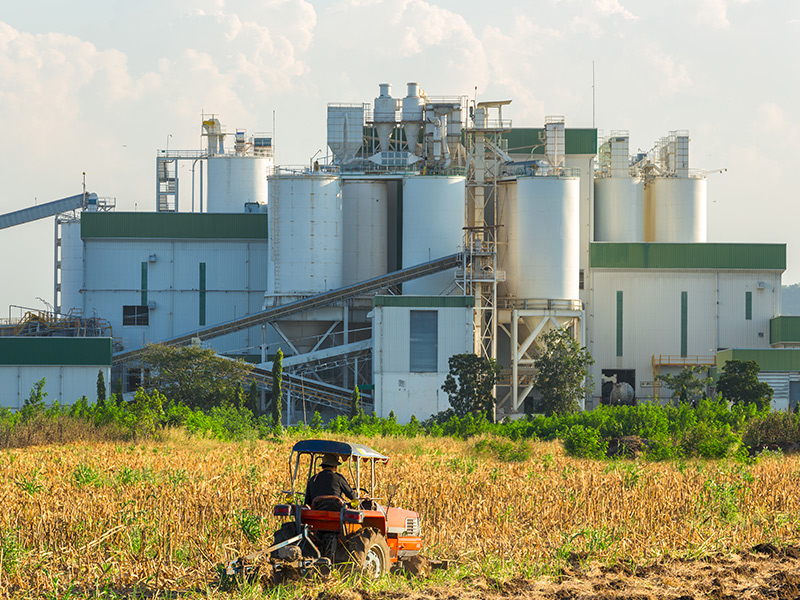 Biorefinery Pre-Treatment Integration to the HIGFLY Process 