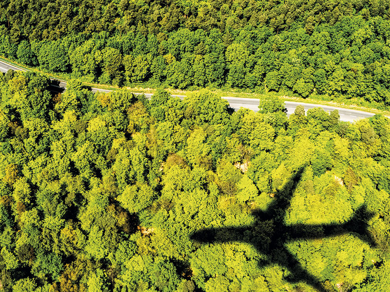 Shadow of an aeroplane on a forest below.