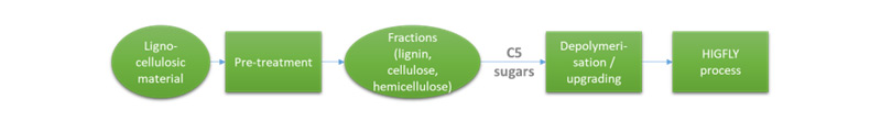 Overview of the Biorefinery and HIGFLY Integration.