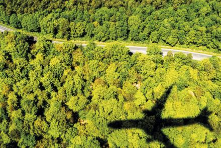 Shadow of an aeroplane on a forest below.